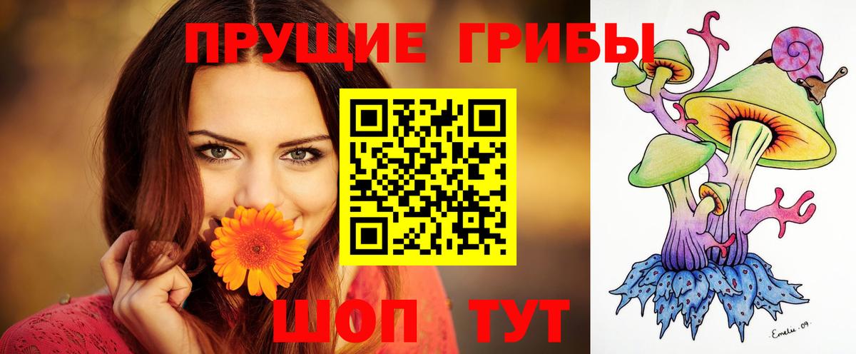 Псилоцибиновые грибы прущие грибы Алексеевка